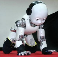 /images/blog/icub.png